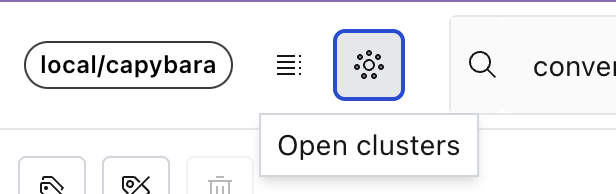 Opening the Cluster view